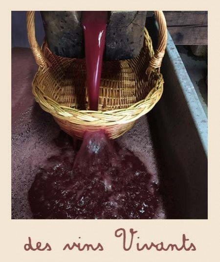 Filtration du jus de raisin pendant la vinification.