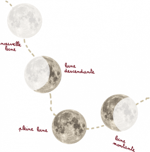 Mise en bouteille en fonction des cycles lunaires.